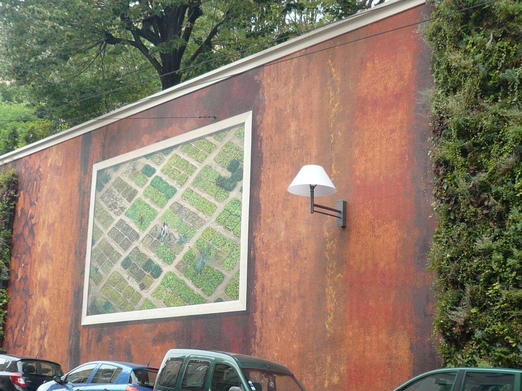 Lyon, mural of Mali crops from a side angle