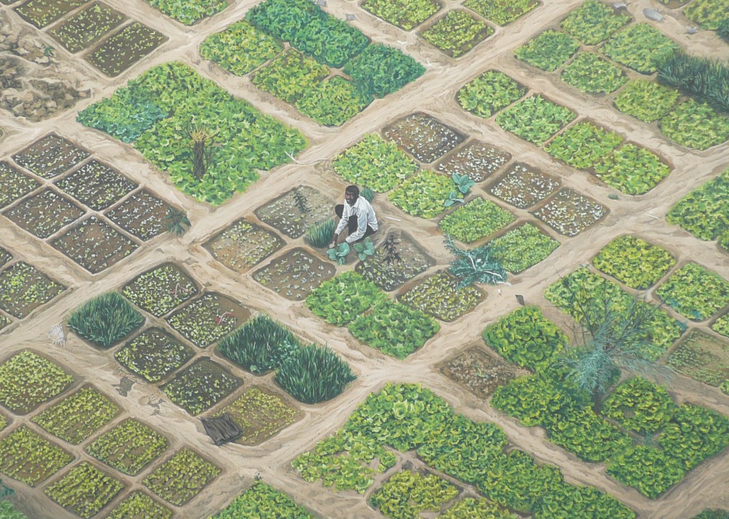 Lyon, close up of mural with Mali crops